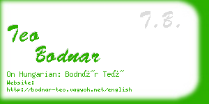 teo bodnar business card